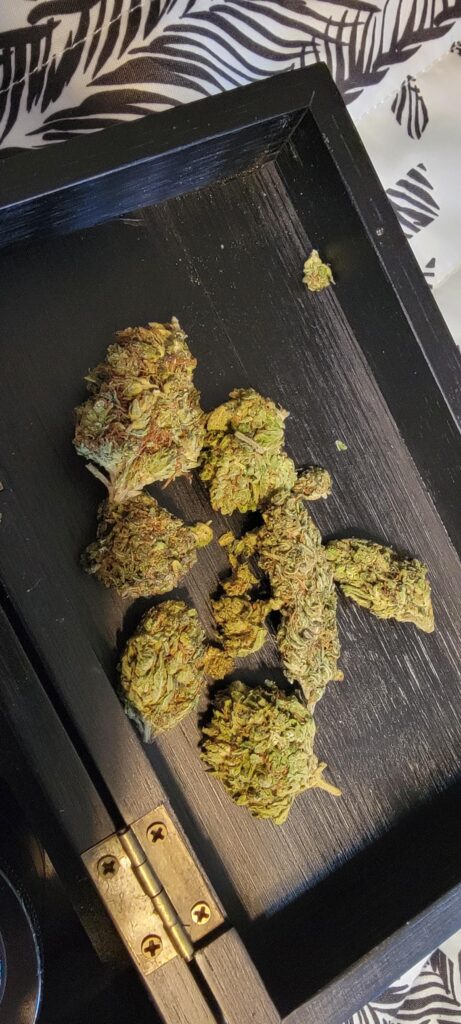 Image #1 from Diana Griffieth