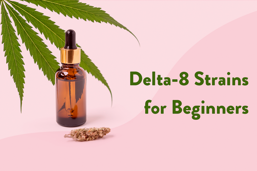 Delta-8 Strains for Beginners | BudPop