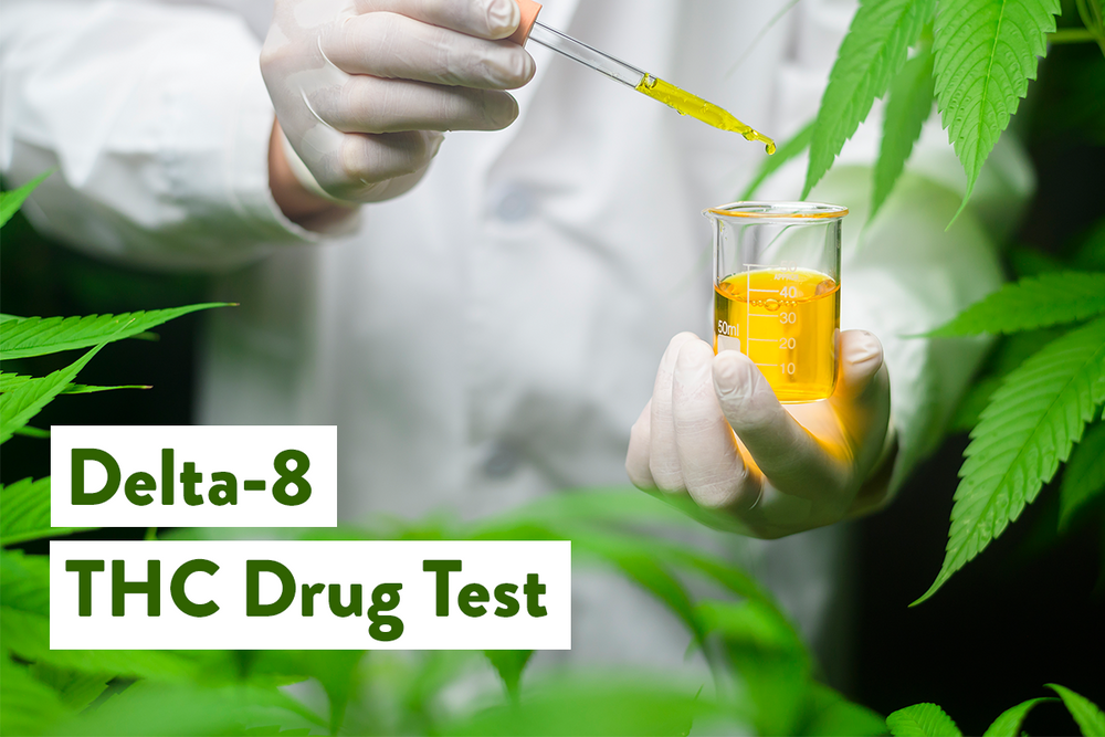 Delta-8 THC Drug Test: How Long Does Delta 8 Stay In Your System? | BudPop