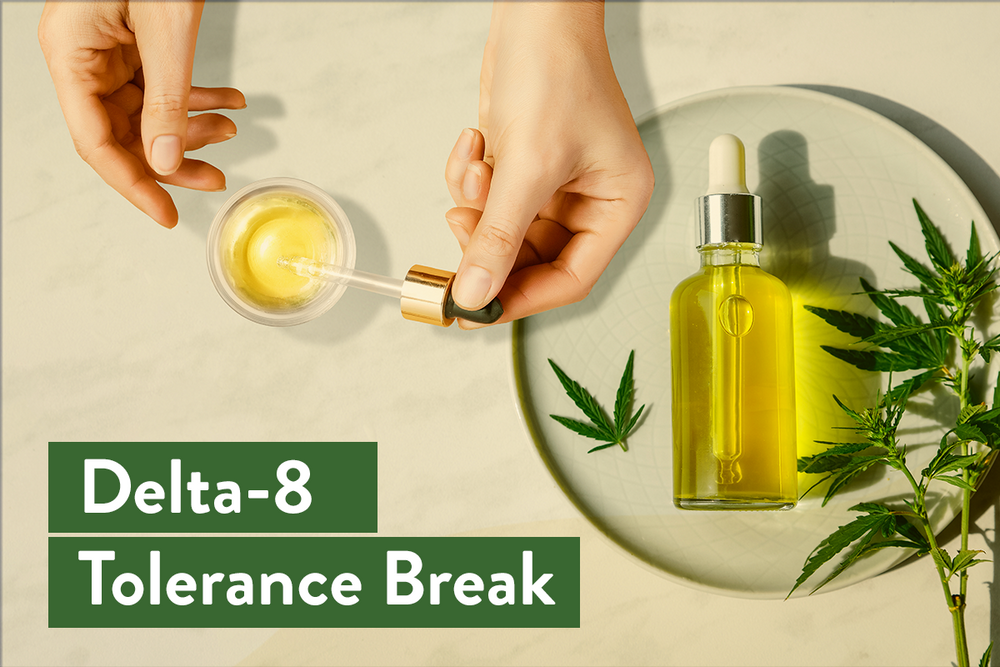 Delta 8 Tolerance Break: Know How To Reset Your Body | BudPop