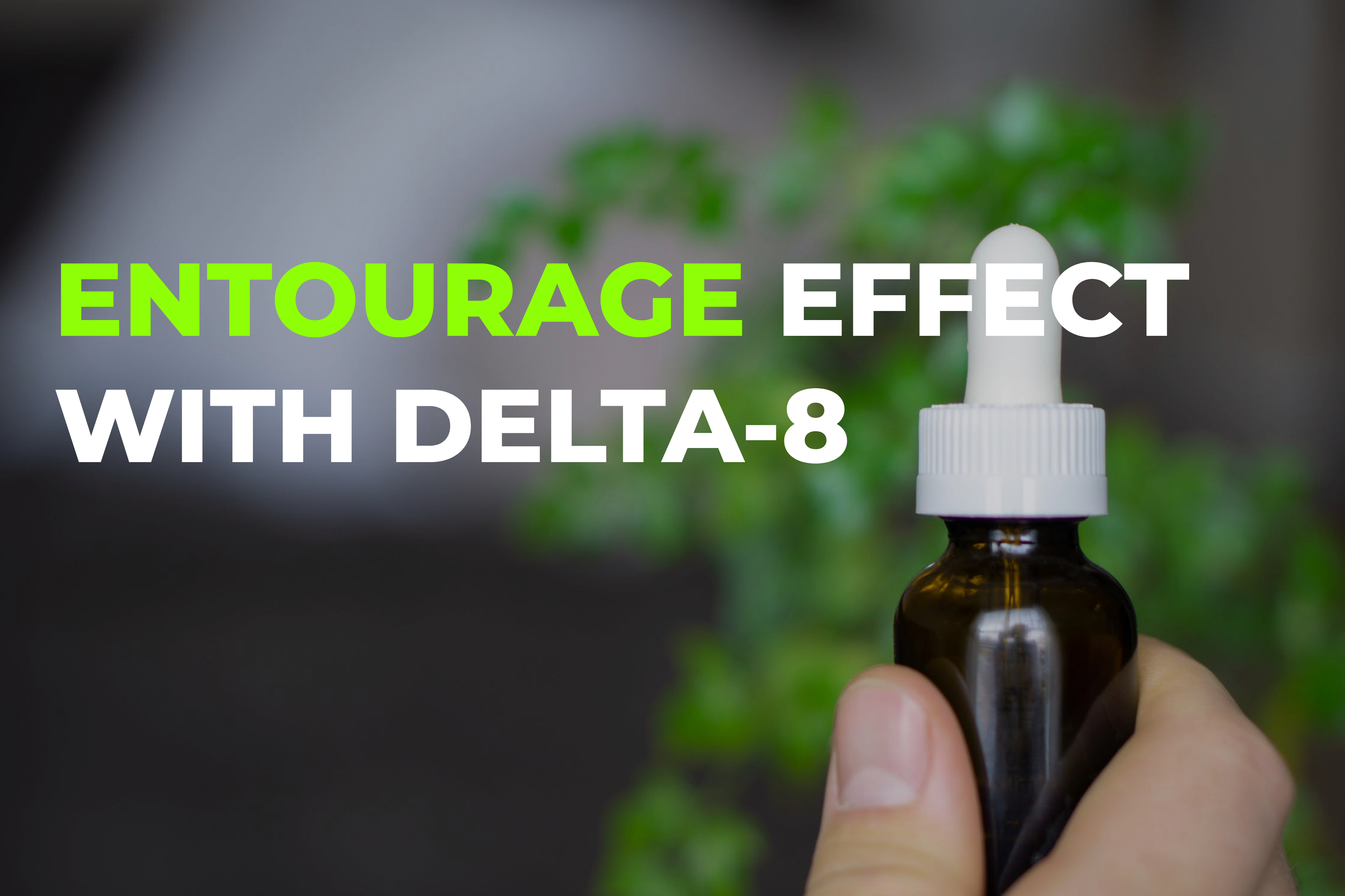 What Is Entourage Effect? Does Delta 8 Help In Achieving It? | BudPop