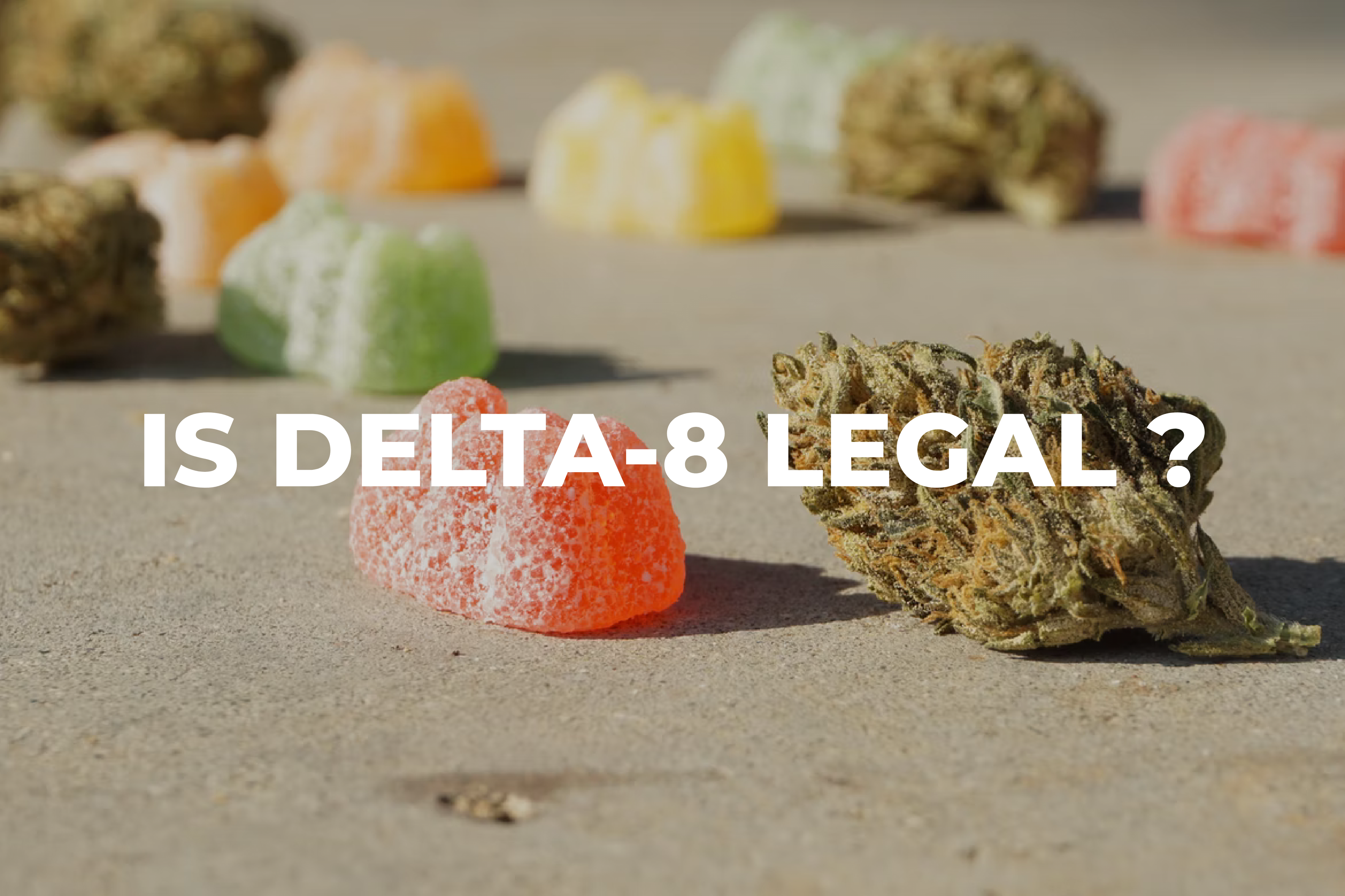 Is Delta-8 Legal In Your State? Ultimate Guide! | BudPop