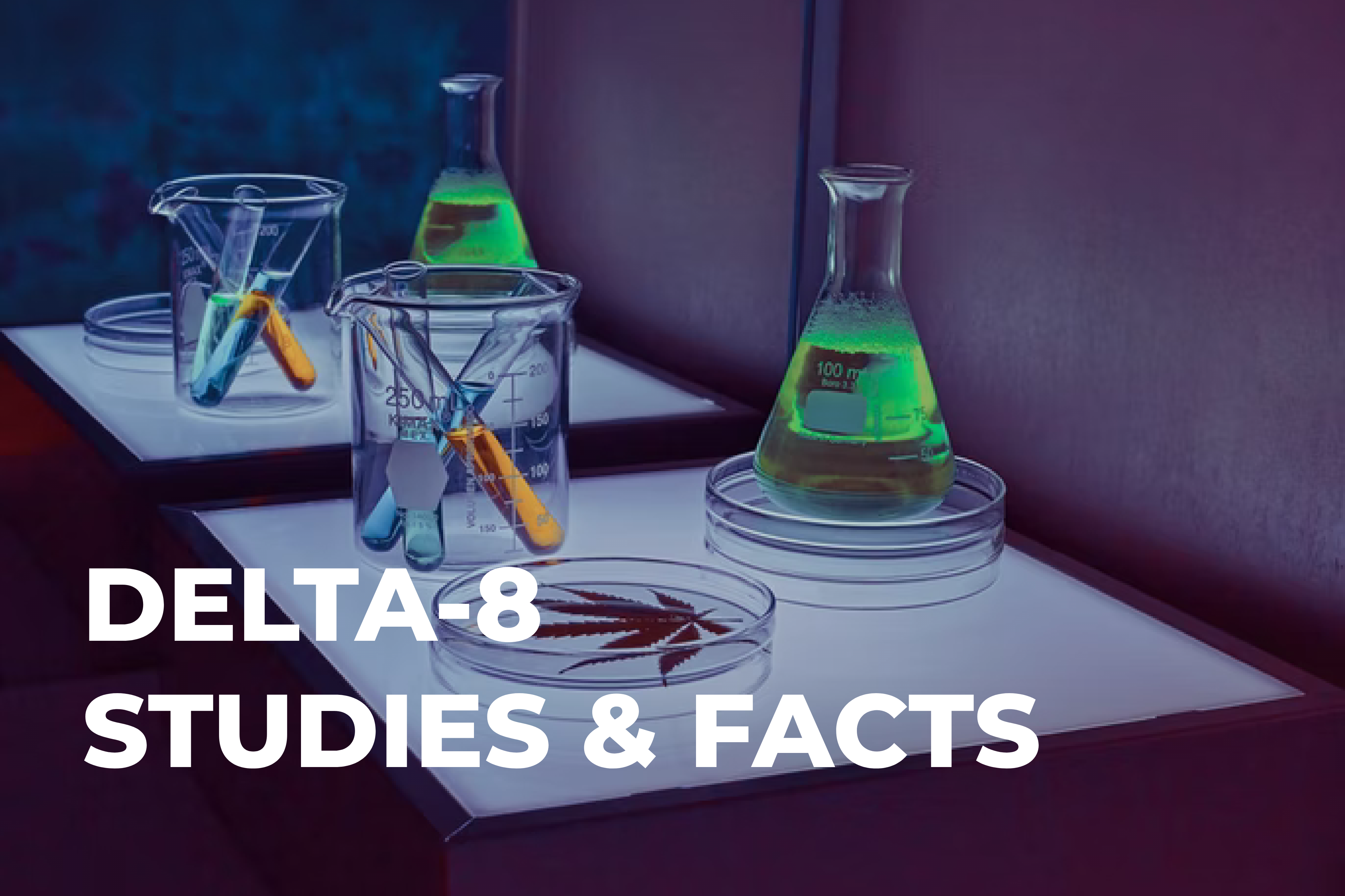 All About Delta 8 THC: Studies and Facts | BudPop