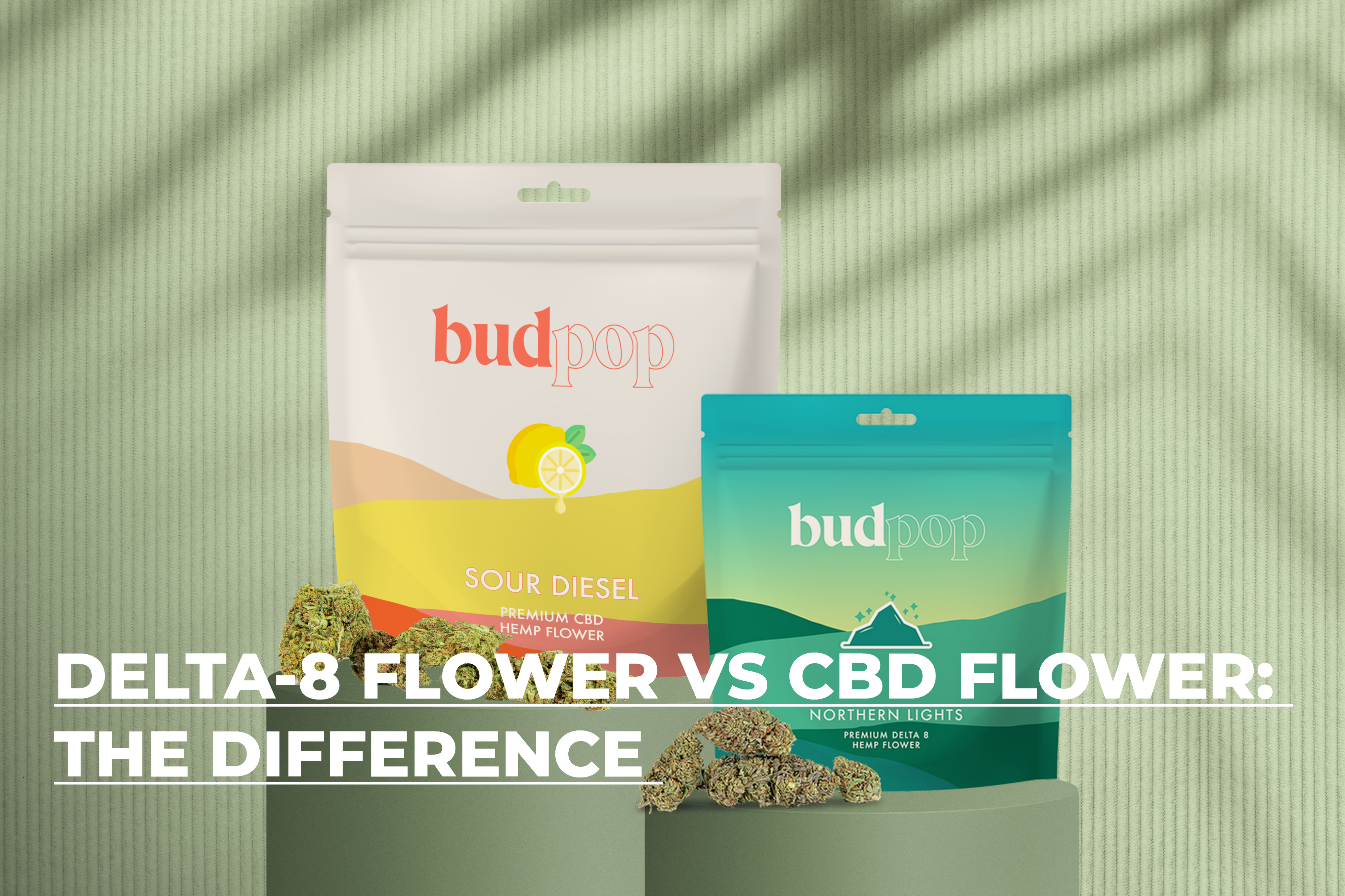 Delta 8 Flower VS CBD Flower: Know The Difference | BudPop