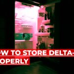 storing delta 8