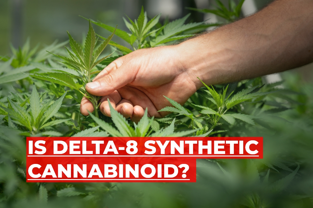 Is Delta 8 a synthetic cannabinoid?