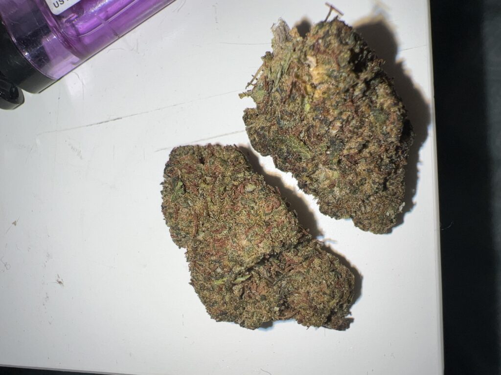 Image #2 from brylie