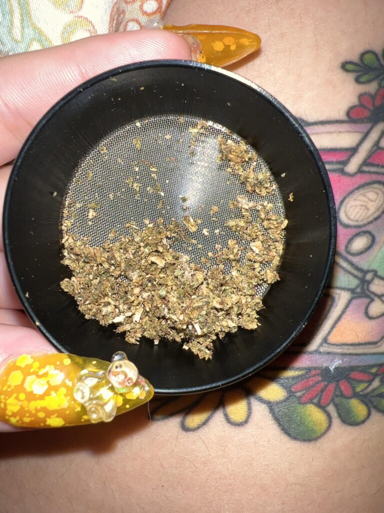 Image #3 from brylie