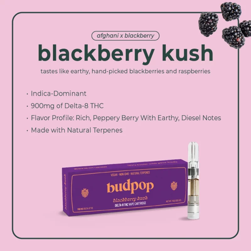 Blackberry Kush Delta 8 THC Vape | BudPop