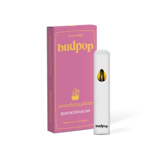 DELTA 8 DISPOSABLE VAPES | BudPop