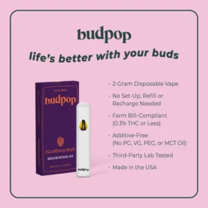 THC Disposable Vape Pens | BudPop