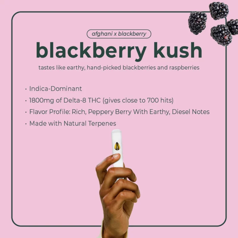 Delta 8 Disposable Vape Pen - Blackberry Kush | BudPop