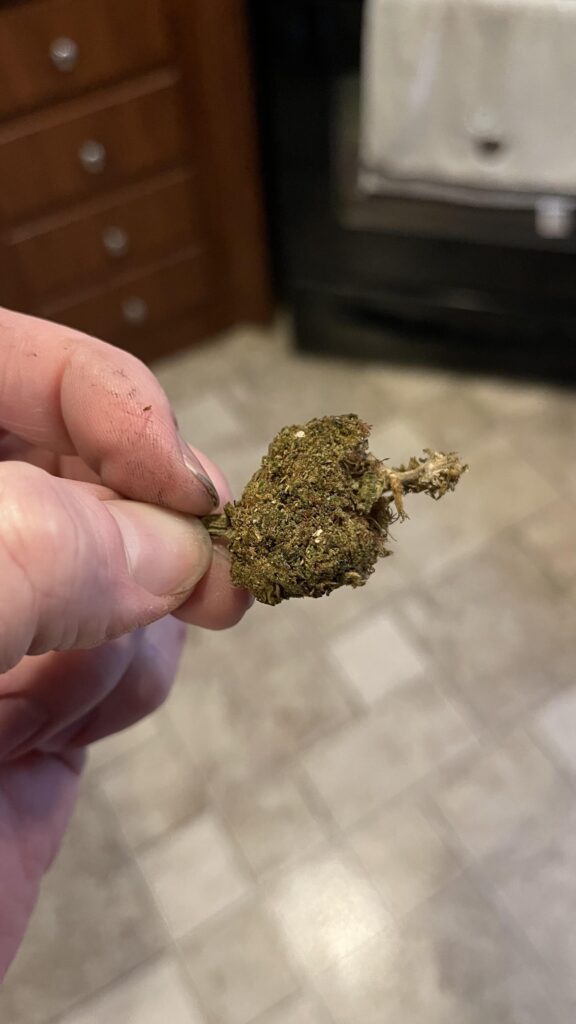 Image #1 from Steven A