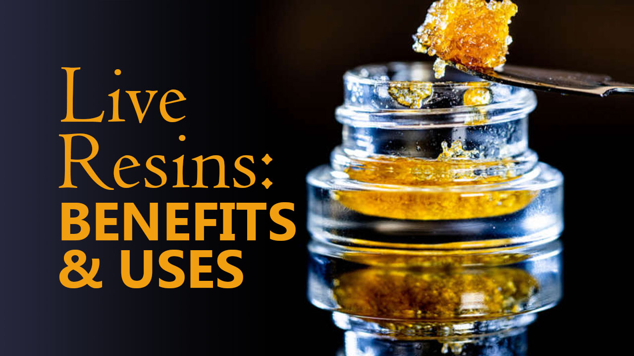 <strong>Live Resin: A Potent Hemp Product With Tons Of Benefits And Uses</strong> | BudPop