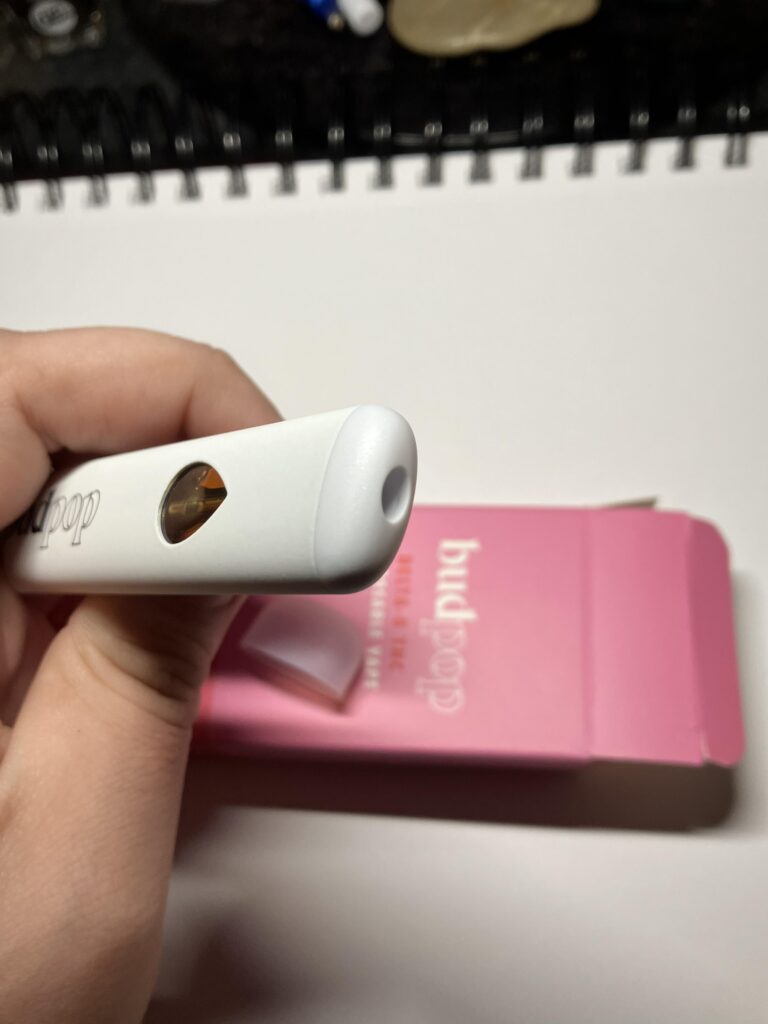 Image #5 from }{SketchCarney}{