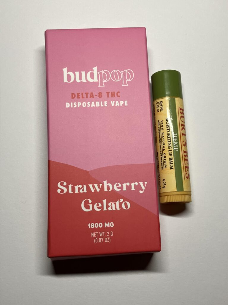 Image #1 from }{SketchCarney}{