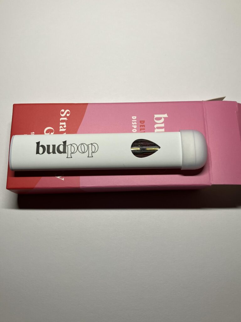 Image #2 from }{SketchCarney}{