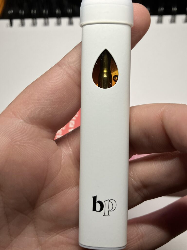 Image #4 from }{SketchCarney}{