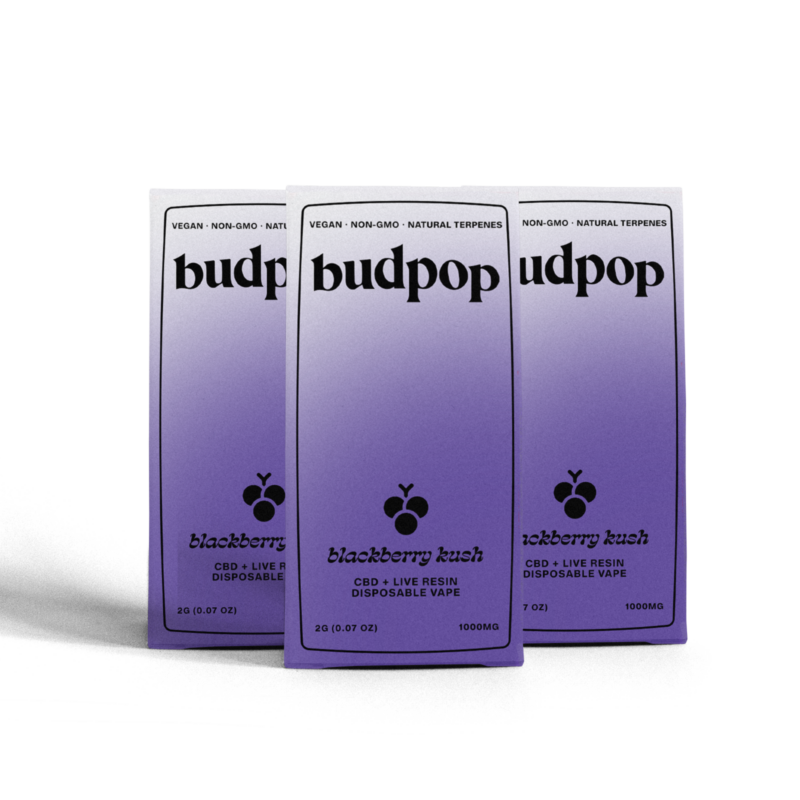 CBD Broad Spectrum + Live Resin 2G Disposables (1000 mg) - Blackberry Kush | BudPop