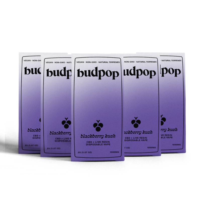 CBD Broad Spectrum + Live Resin 2G Disposables (1000 mg) - Blackberry Kush | BudPop