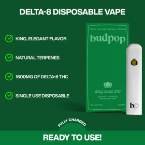 THC Disposable Vape Pens | BudPop