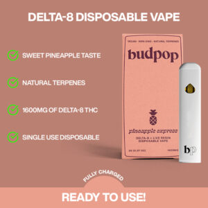 THC Disposable Vape Pens | BudPop