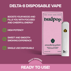 THC Disposable Vape Pens | BudPop