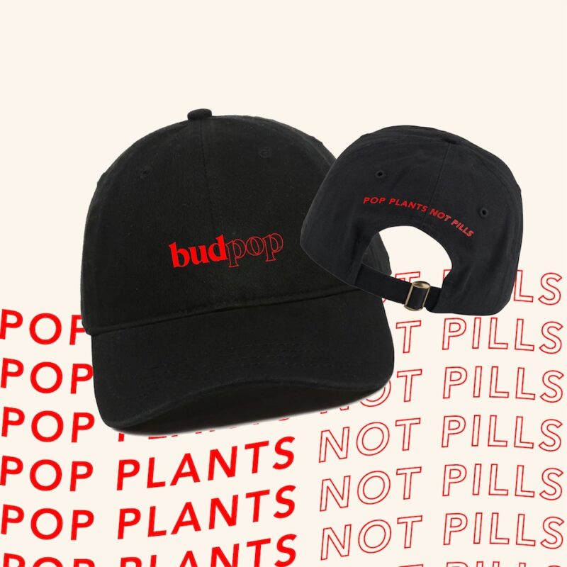 BudPop Hat | BudPop