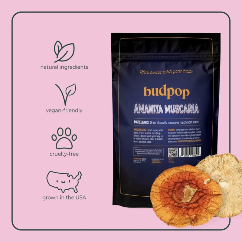 Amanita Muscaria Dried Mushrooms | BudPop