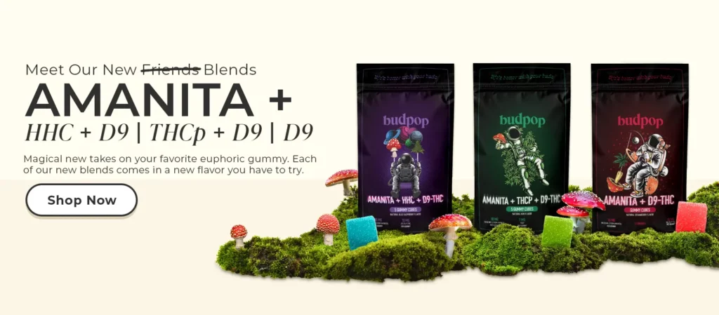 Amanita Mushroom Gummies: Powerful Effects and Experiences Revealed! Amanita Mushroom Gummies: Powerful Effects and Experiences Revealed! | BudPop