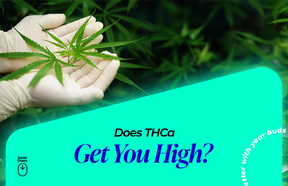 does thca get you high