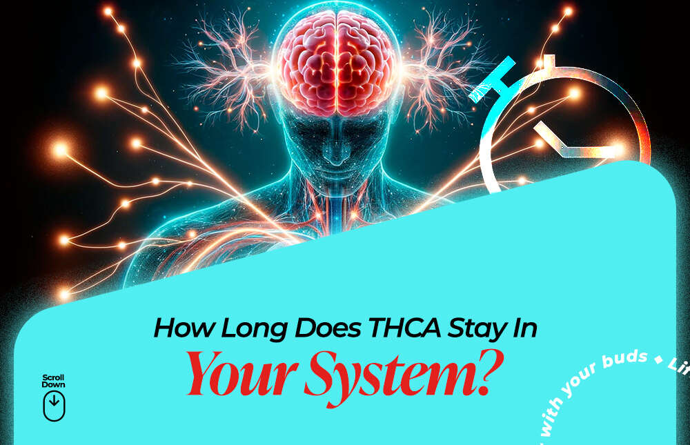 how long does thca stay in your system