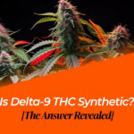 is delta 9 thc synthetic