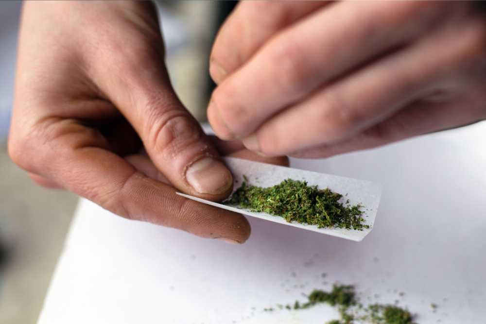 person rolling joint closeup