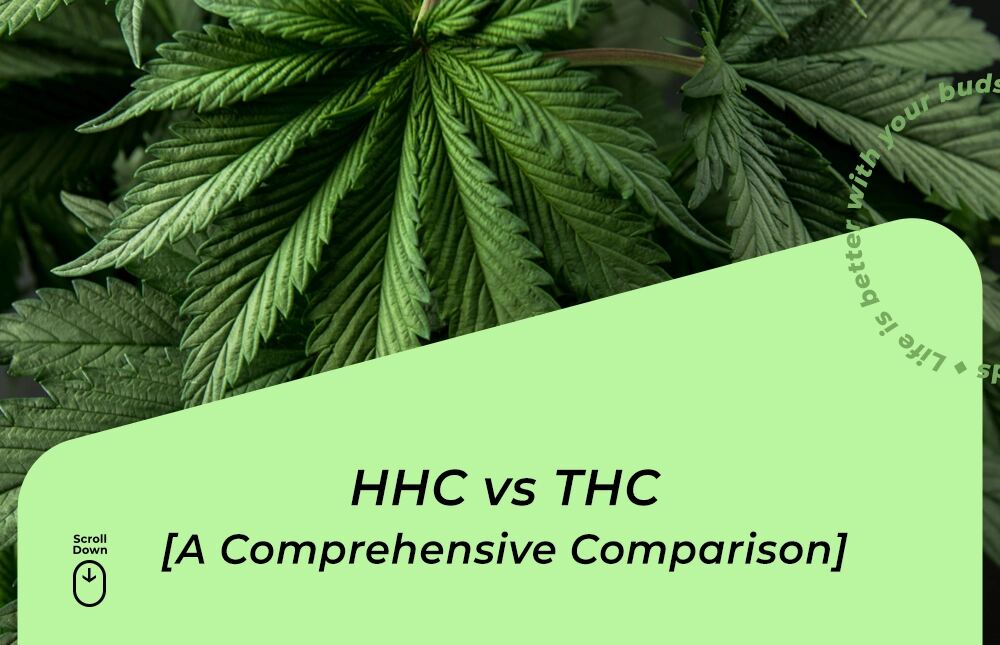 hhc vs thc