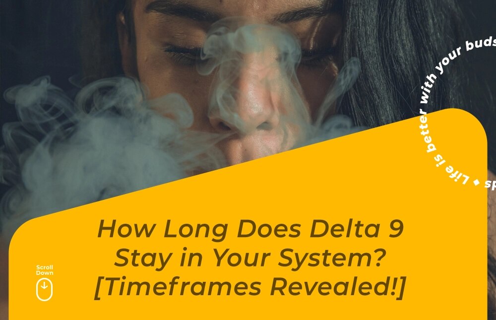 how long does delta 9 stay in system