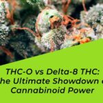 thc-o vs delta 8