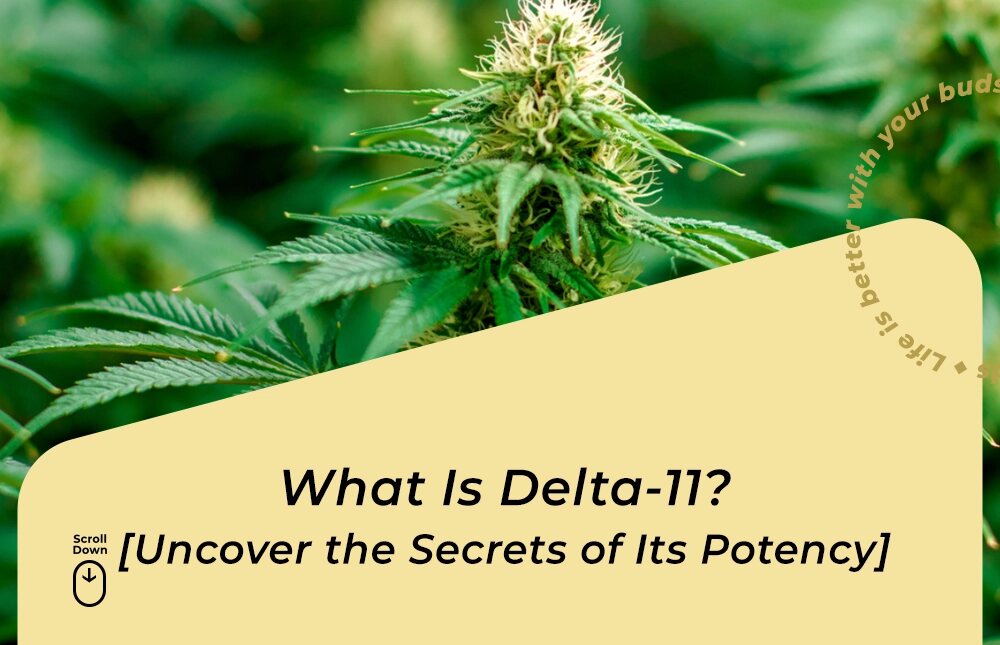 what is delta 11