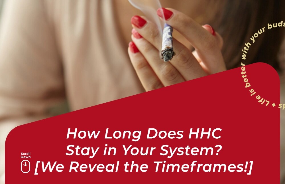 how long does hhc stay in system