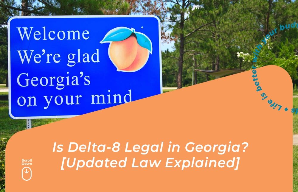 is delta 8 legal in georgia