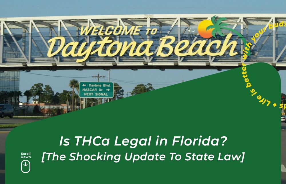 is thca legal in florida budpop