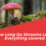 How long do shrooms last